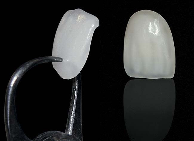 Teeth